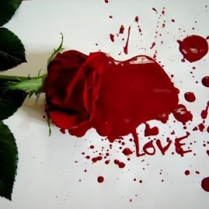 Love & Violence