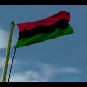 This Flag of Mine: Towards 100 years of Red, Black and Green