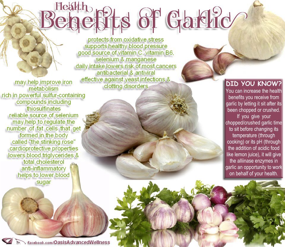 the+health+benefits+of+garlic.jpg