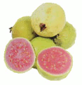 guava-fruit.png