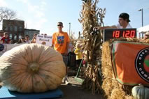 101905-b_largest_pumpkin_Chris_Stevens.jpg